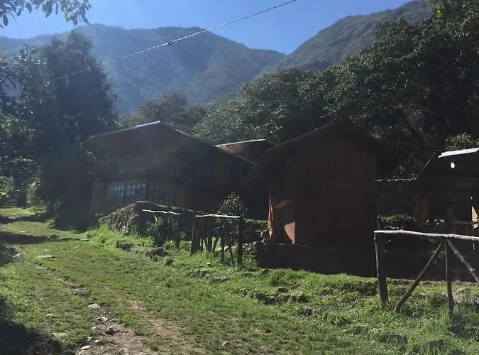 Lodge The Woods