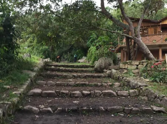 The Woods * Santa Teresa (Cusco)