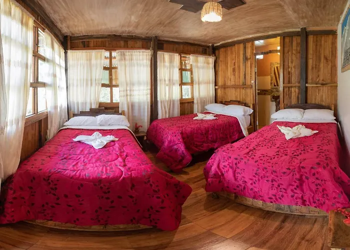 The Woods Lodge