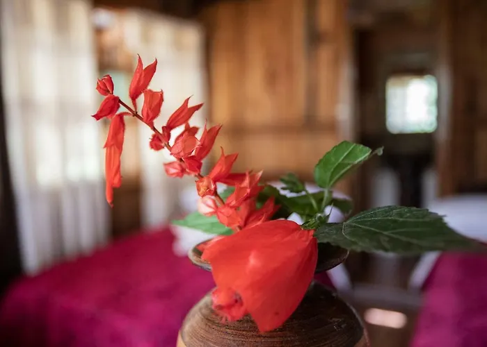 Lodge The Woods Santa Teresa (Cusco)